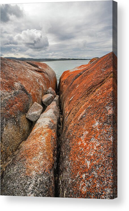 Rocks Acrylic Print featuring the photograph Rock Life - Bay of Fires - Tasmania by Anthony Davey