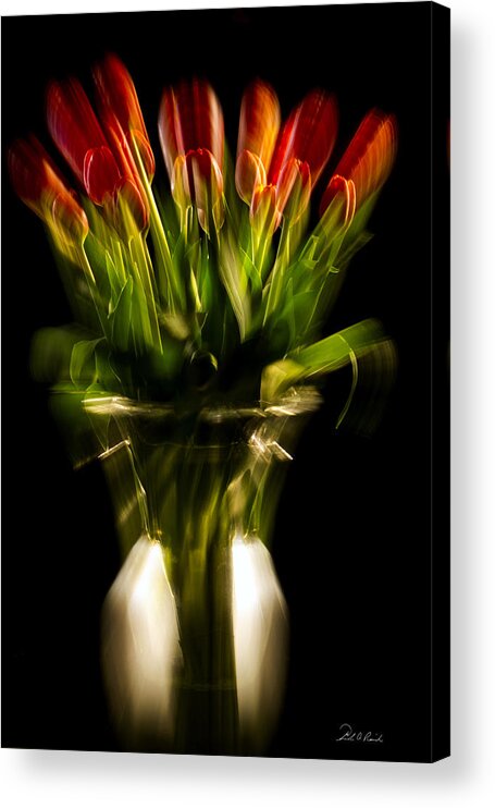 Photography Acrylic Print featuring the photograph Rocket Propelled Tulips by Frederic A Reinecke