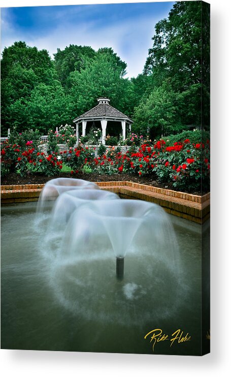 Garden Acrylic Print featuring the photograph Rose Garden by Rikk Flohr