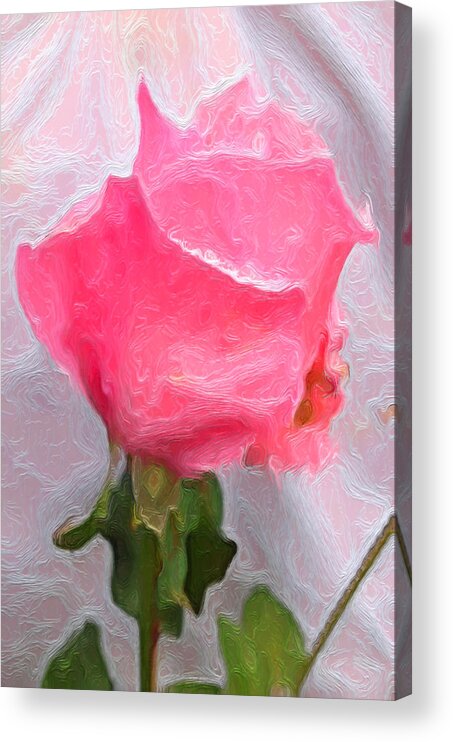 Portrait Acrylic Print featuring the photograph Rose of Pink Three by Morgan Carter