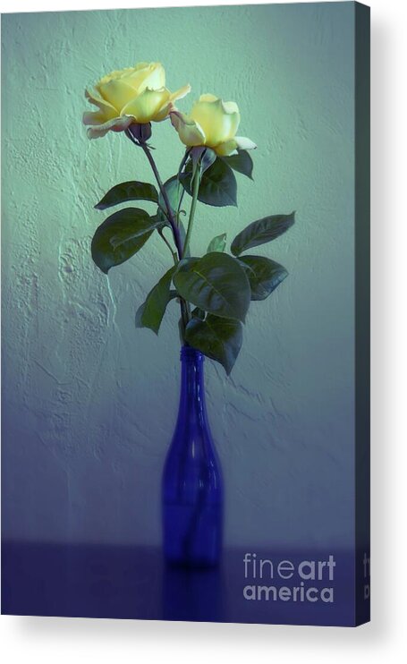 Rose Acrylic Print featuring the photograph Roses in a Blue Bottle by Patricia Strand