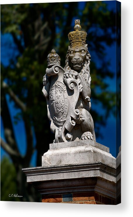 Lion Acrylic Print featuring the photograph Royal Lion by Christopher Holmes