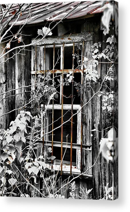 Barn Acrylic Print featuring the photograph Rustic Barn Window by Greg Sharpe