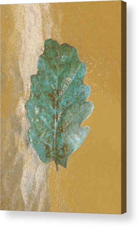 Leaves Acrylic Print featuring the photograph Rustic Leaf by Linda Sannuti