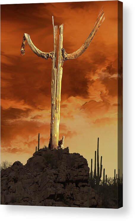 Saguaro Acrylic Print featuring the photograph Saguaro Sculpture by Mike Stephens