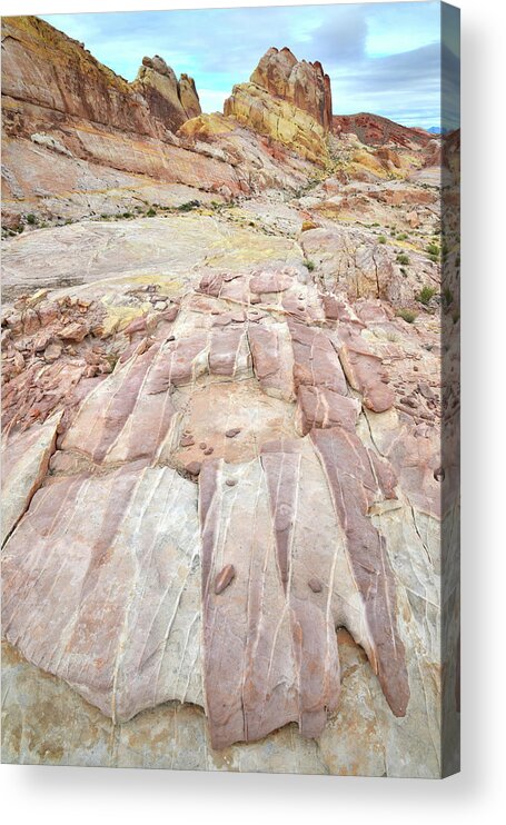 Let Me Know If You Do Decide To Go. I'll Tell You Where All The Good Spots Are Acrylic Print featuring the photograph Sandstone Bear Claw in Valley of Fire by Ray Mathis