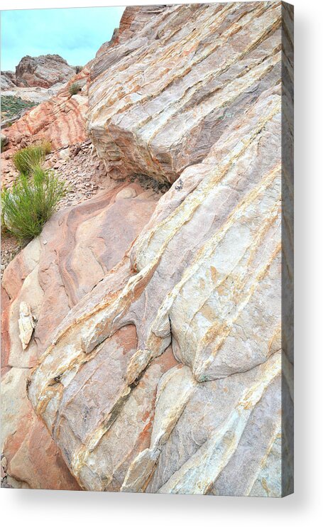 Valley Of Fire State Park Acrylic Print featuring the photograph Sandstone Cove in Valley of Fire by Ray Mathis