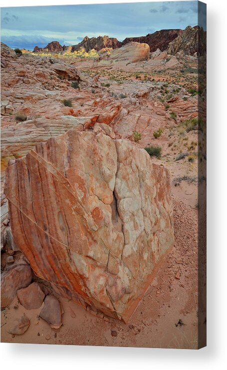 Valley Of Fire State Park Acrylic Print featuring the photograph Sandstone Shield in Valley of Fire by Ray Mathis