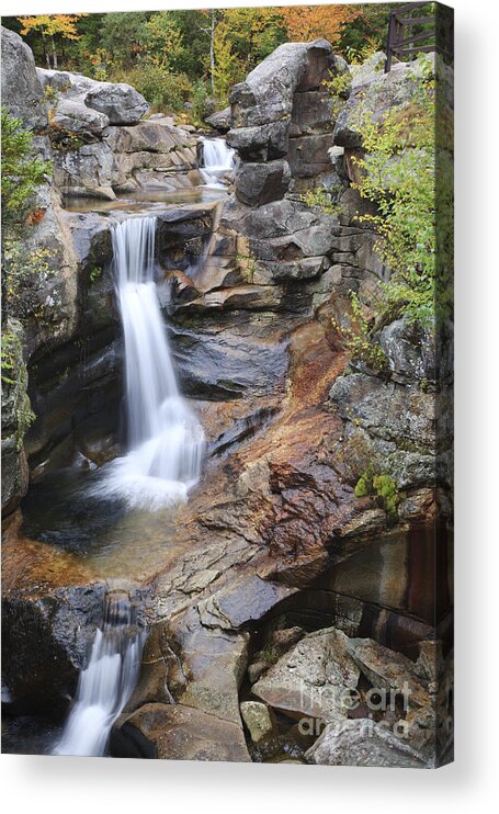 Nature Acrylic Print featuring the photograph Screw Auger Falls - Maine by Erin Paul Donovan