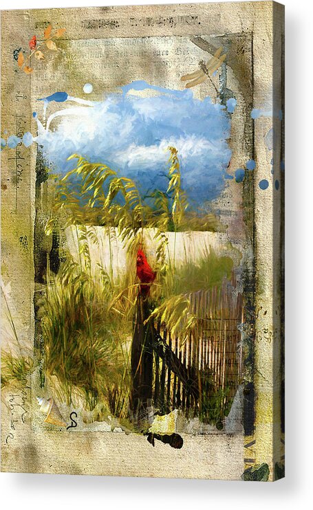 Long Beach Acrylic Print featuring the photograph Sea Oats with Cardinal by Don Schiffner