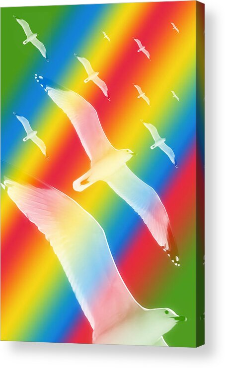 Pattern Acrylic Print featuring the photograph Seagulls Dance In Color 3 by Pedro Cardona Llambias