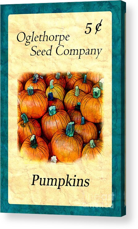  Acrylic Print featuring the photograph Seed Packet -- Pumpkins by Judi Bagwell