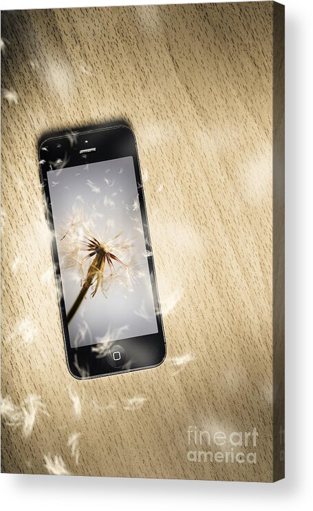 Phone Acrylic Print featuring the photograph Seeding connectivity by Jorgo Photography