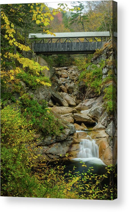 Park Acrylic Print featuring the photograph Sentinel Pine Bridge by Mike Ste Marie