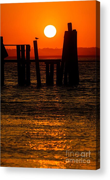 Topsail Acrylic Print featuring the photograph Serenity by DJA Images