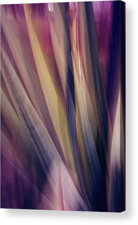 Plant Abstract Nature Blur Colors Pink Blue Yellow Geen Acrylic Print featuring the photograph Shade of color by Linda Sannuti