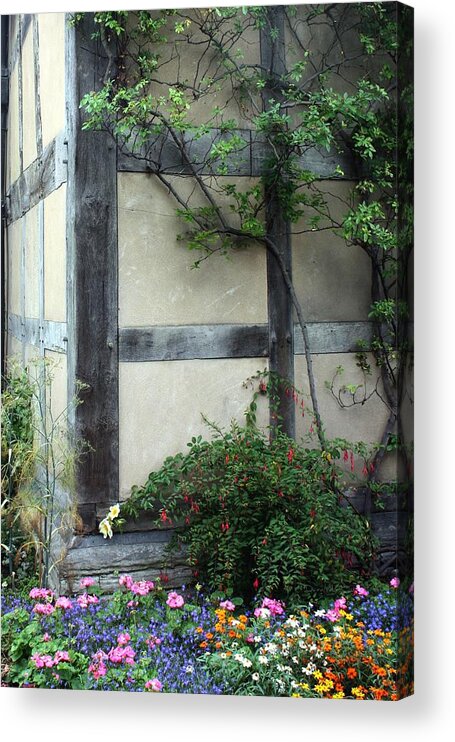 English Acrylic Print featuring the photograph Shakespeare's Back Garden by Diane Lindon Coy