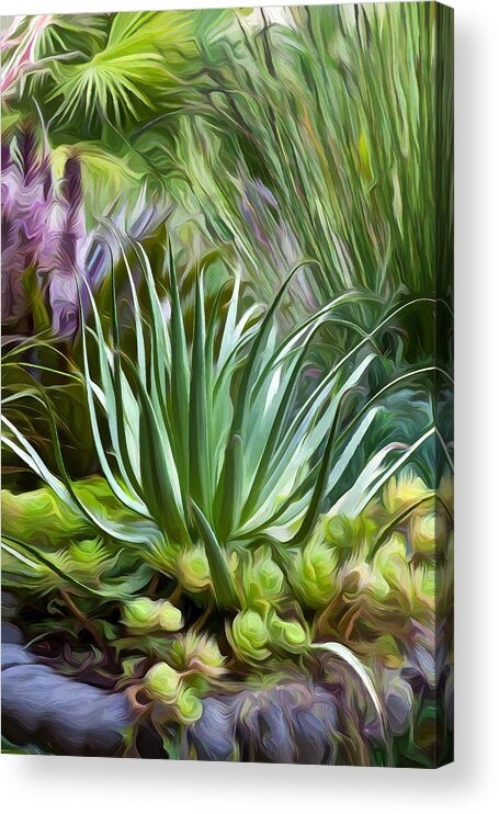 Containers Acrylic Print featuring the photograph Sherrie's Spider Agave by Saxon Holt