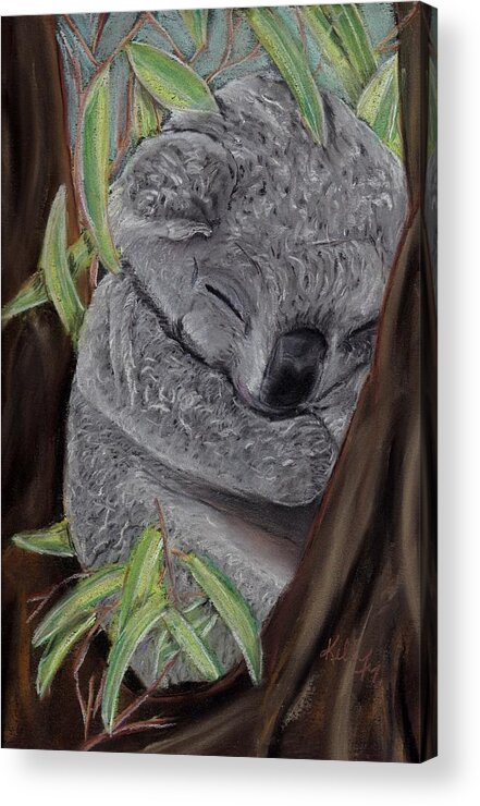 Koala Acrylic Print featuring the pastel Shhh Koala Bear Sleeping by Kelly Mills