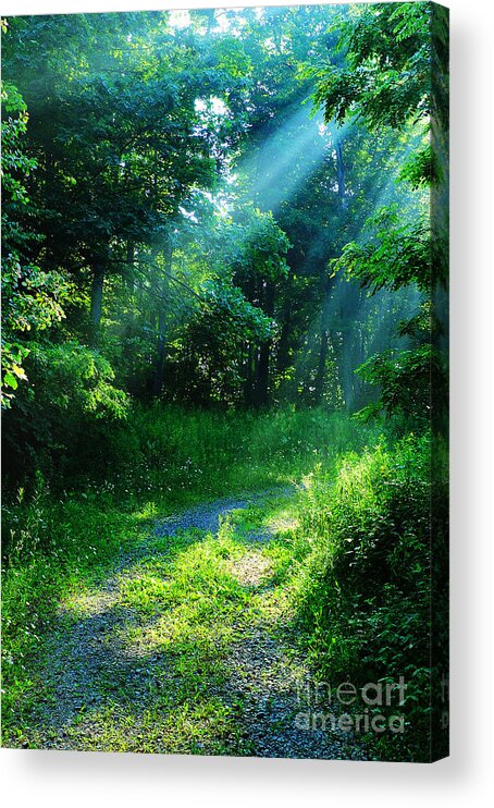 Morning Acrylic Print featuring the photograph Shining Light by Thomas R Fletcher