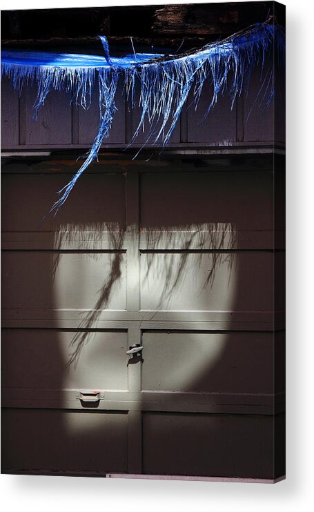 Shreds Acrylic Print featuring the photograph Shreds by Kreddible Trout