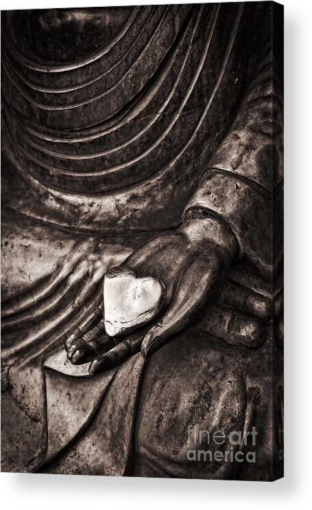 Buddha Acrylic Print featuring the photograph Silent Heart by Tim Gainey