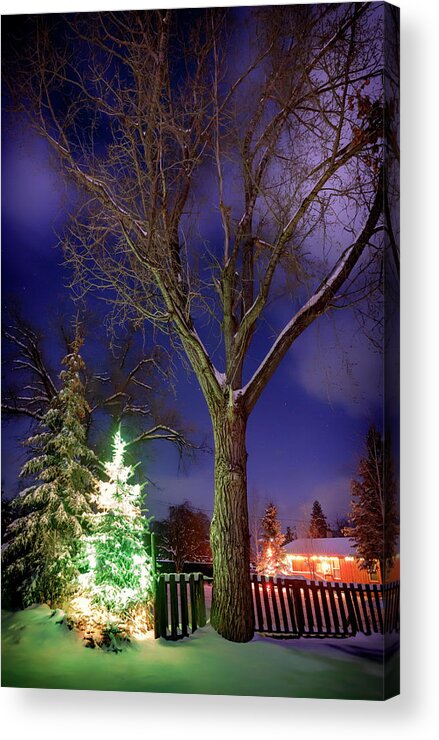 Night Acrylic Print featuring the photograph Silent Night by Cat Connor
