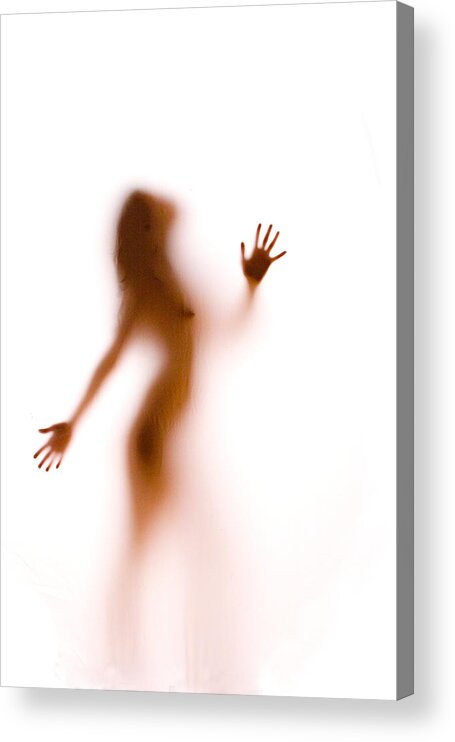 Silhouette Acrylic Print featuring the photograph Silhouette 27 by Michael Fryd