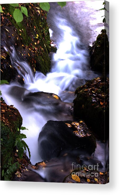 Water Acrylic Print featuring the photograph Silky fall by Stephen Melia