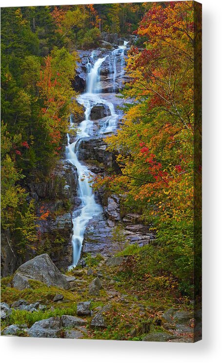 Waterfall Acrylic Print featuring the photograph Silver Cascade by Dale J Martin