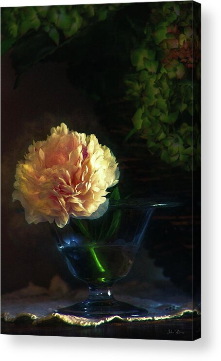 Flower Acrylic Print featuring the photograph Single Peony by John Rivera
