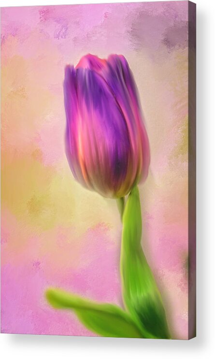 Pink Tulip Acrylic Print featuring the photograph Single Tulip by Mary Timman