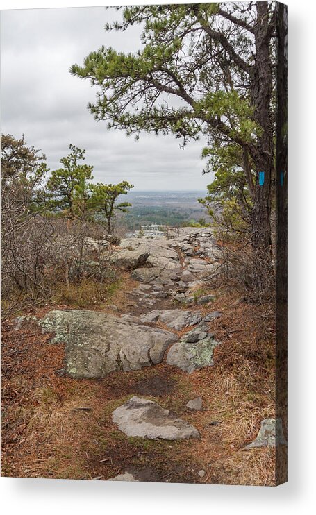 Landscape Acrylic Print featuring the photograph Skyline Trail Blue Hills Reservation by Brian MacLean