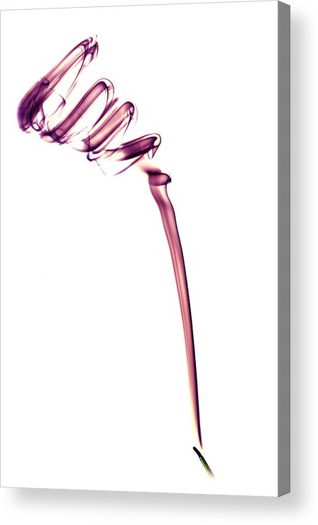 Smoke Acrylic Print featuring the photograph Smokey Spiral in Magenta by Nick Bywater