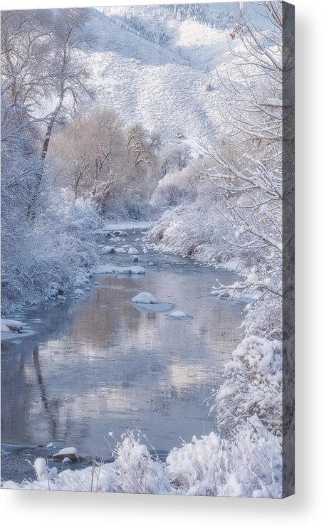 Winter Acrylic Print featuring the photograph Snow Creek by Darren White