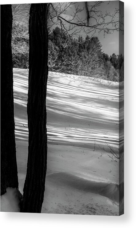 Vermont Winter Acrylic Print featuring the photograph Snow Shadows by Tom Singleton