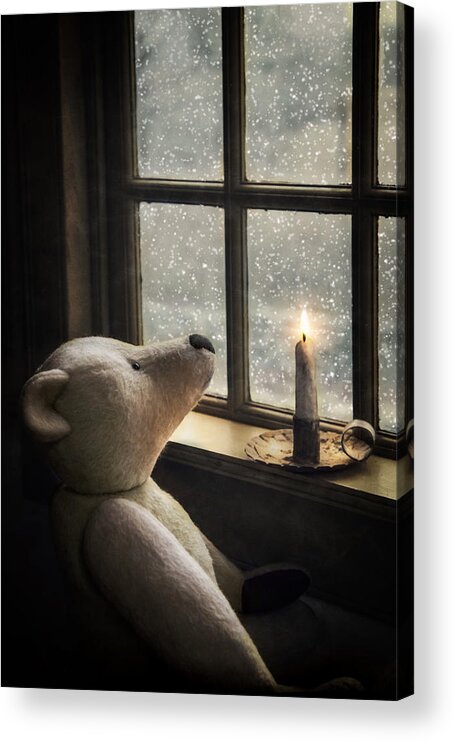 Bear Acrylic Print featuring the photograph Snow Wonder by Robin-Lee Vieira