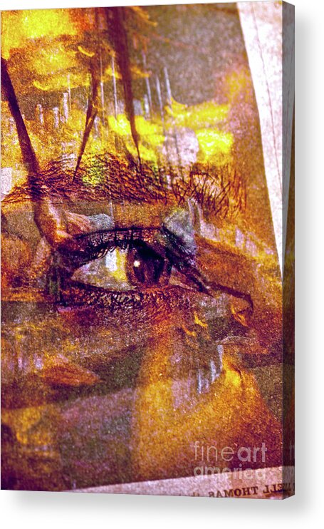 Semi-abstract Acrylic Print featuring the photograph So Much to See by Michael Cinnamond