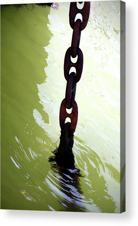 Newel Hunter Acrylic Print featuring the photograph Solid by Newel Hunter