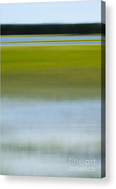 Southern Acrylic Print featuring the photograph Southern Marsh Motion by Dustin K Ryan