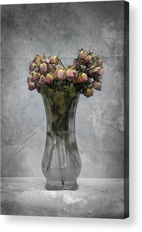 Roses Acrylic Print featuring the photograph Spent by DArcy Evans