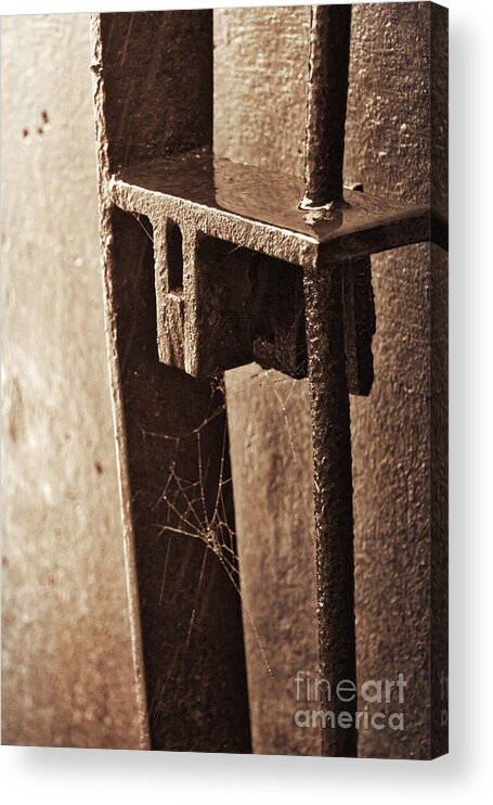 Gate Acrylic Print featuring the photograph Spider Web by Ana V Ramirez