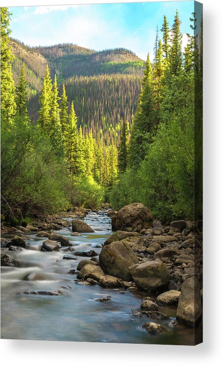 Landscape Acrylic Print featuring the photograph Squaw Creek, Colorado #2 by Adam Reinhart