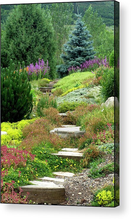 Steamboat Springs Acrylic Print featuring the photograph Steamboat Garden Path by Peggy Dietz