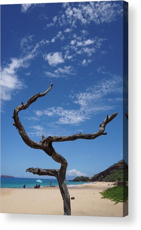 Still Fit In On Maui Acrylic Print featuring the photograph Still fit in on Maui by Yuri Tomashevi