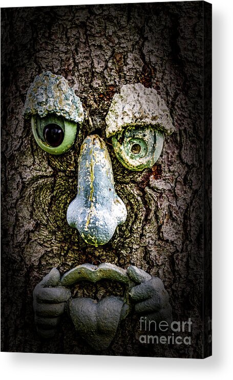 Stone Acrylic Print featuring the photograph Stone Face by William Norton