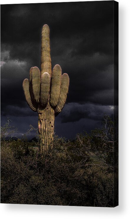 Saguaro Acrylic Print featuring the photograph Storm by Jim Painter