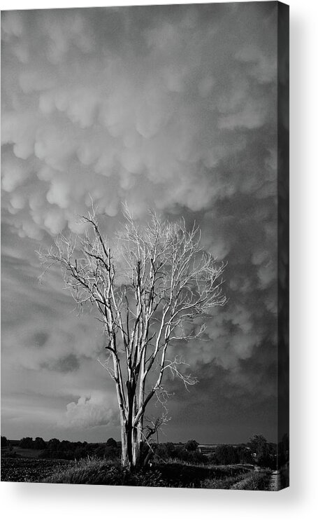 Black And White Acrylic Print featuring the photograph Stormy Evening by Justin Langford