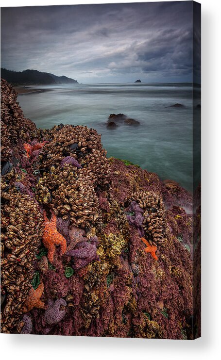 Ocean Acrylic Print featuring the photograph Stormy Life at Sea by Darren White