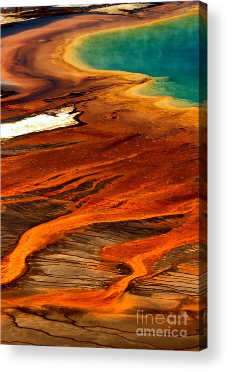 Grand Prismatic Acrylic Print featuring the photograph Streams Of Algae Mats by Adam Jewell